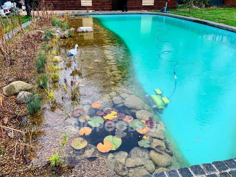 2019_biopond_katerinovka_14