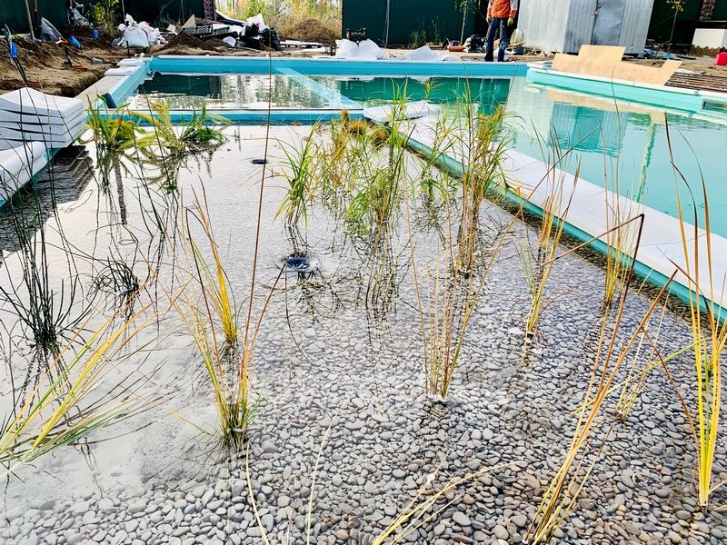 2019_biopool_kryukovschina_09