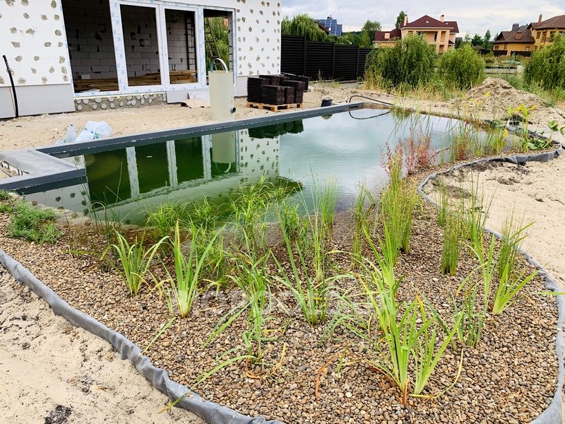 2019_biopond_lesniki_09