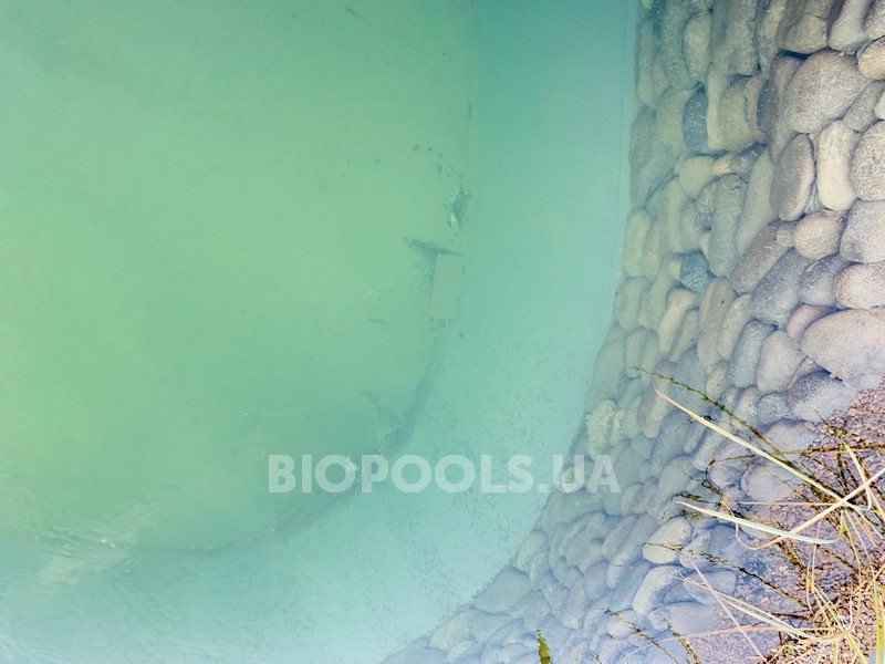 2019_biopond_lesniki_10