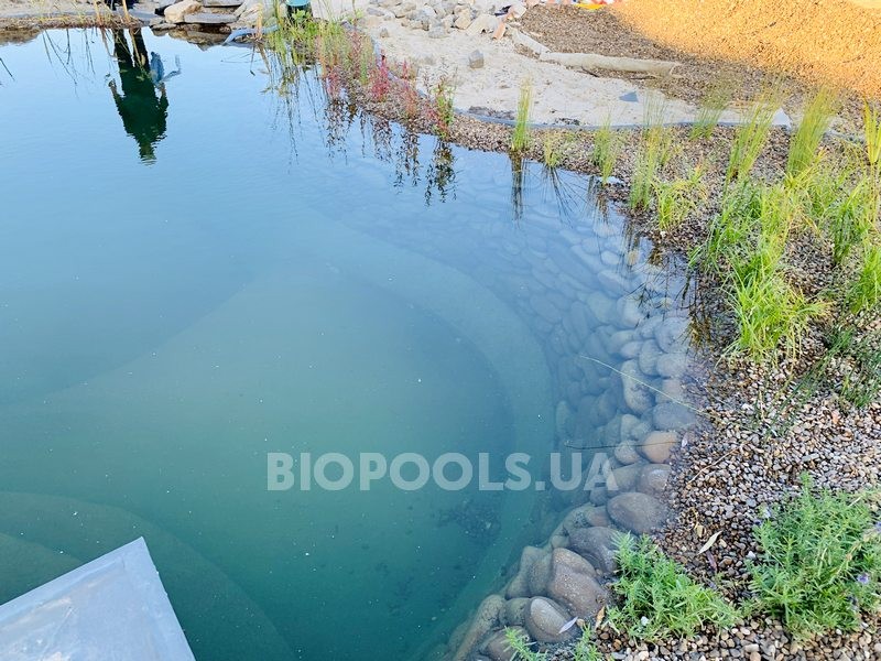 2019_biopond_lesniki_11