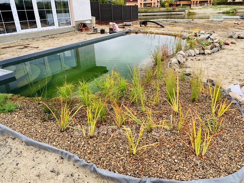 2019_biopond_lesniki_15