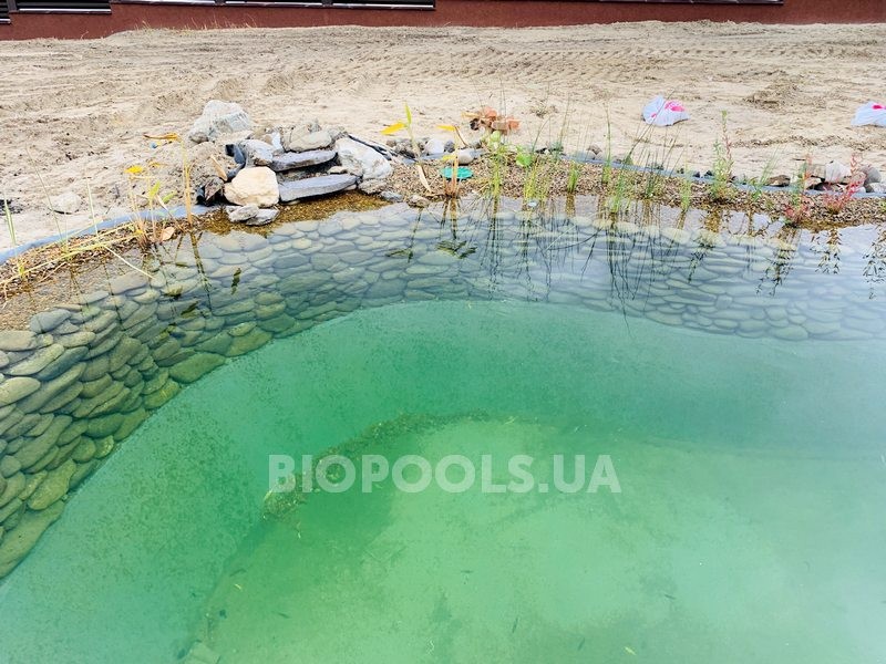 2019_biopond_lesniki_16