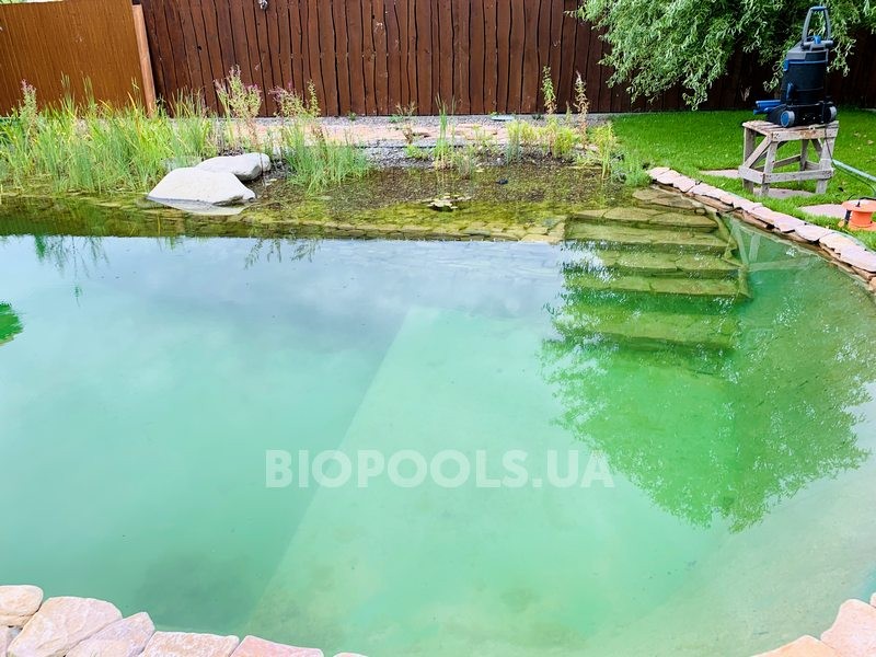 2019_biopond_dudarkov_04