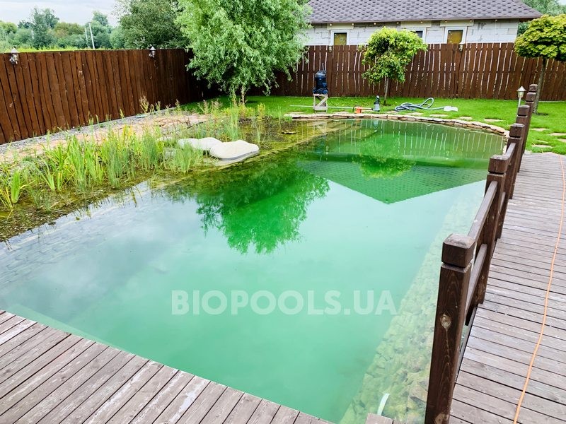 2019_biopond_dudarkov_06