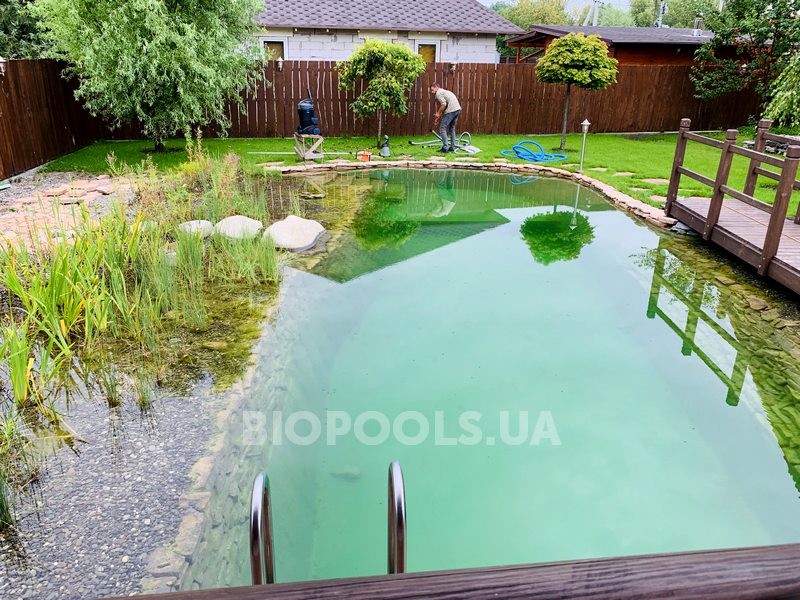 2019_biopond_dudarkov_09