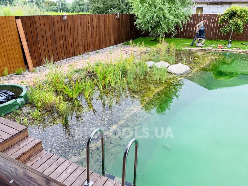 2019_biopond_dudarkov_10