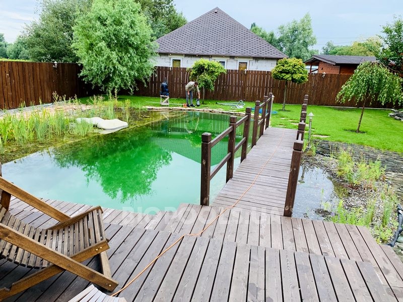 2019_biopond_dudarkov_11