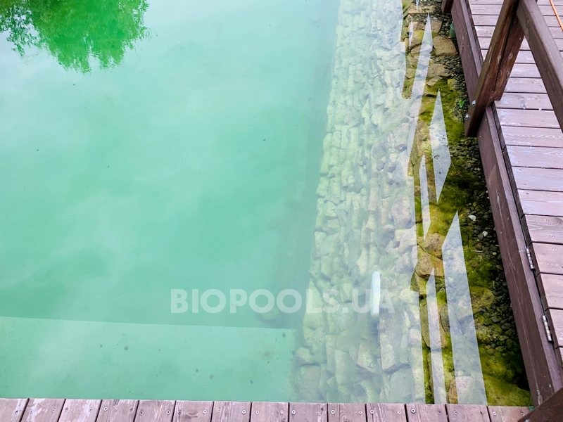 2019_biopond_dudarkov_12