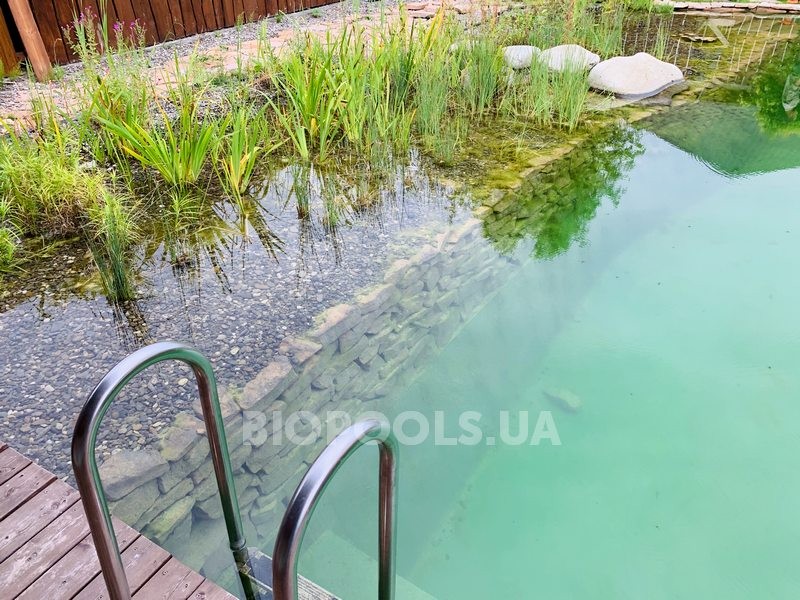 2019_biopond_dudarkov_13