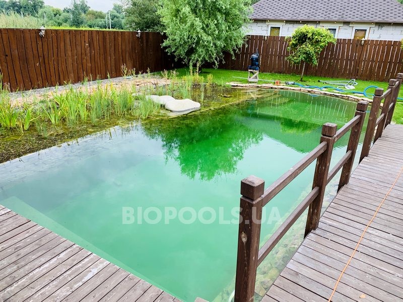 2019_biopond_dudarkov_14