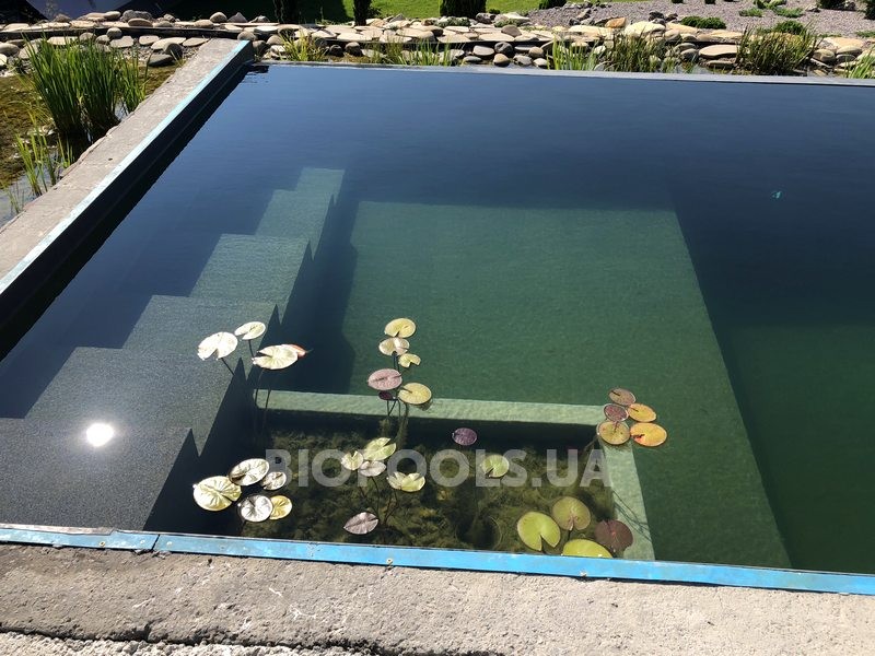 2018_biopool_Dmytrovichi_05